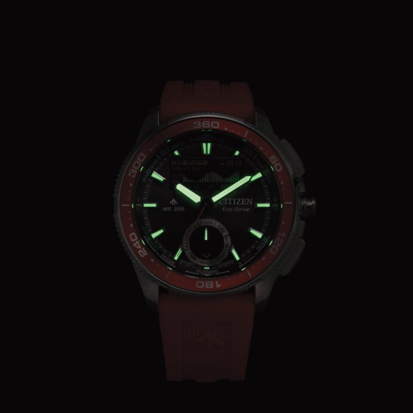 Citizen JV3000-13E Promaster