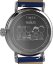 Timex Peanuts Waterbury Standard Pumpkin Patch TW2W72700UK