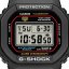 CASIO DW-5600RL-1ER G-Shock