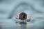Wenger City Classic Quartz 01.1441.140