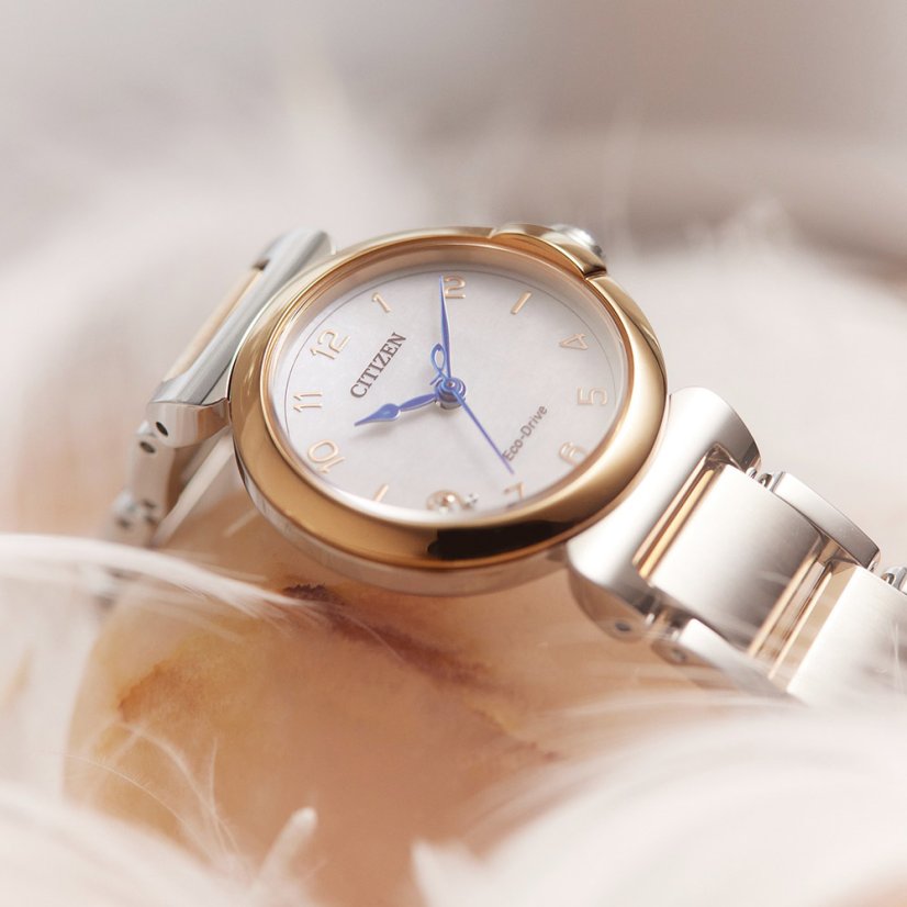 Citizen EM1136-87D Citizen L