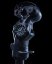 Luminox F117 X Skunk Works Heritage 6440 Series XA.6442.H.SET