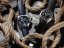 Seiko SPB377J1 Prospex Alpinist Mechanical GMT