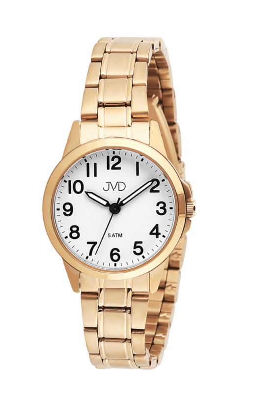 Náramkové hodinky JVD J4197.3