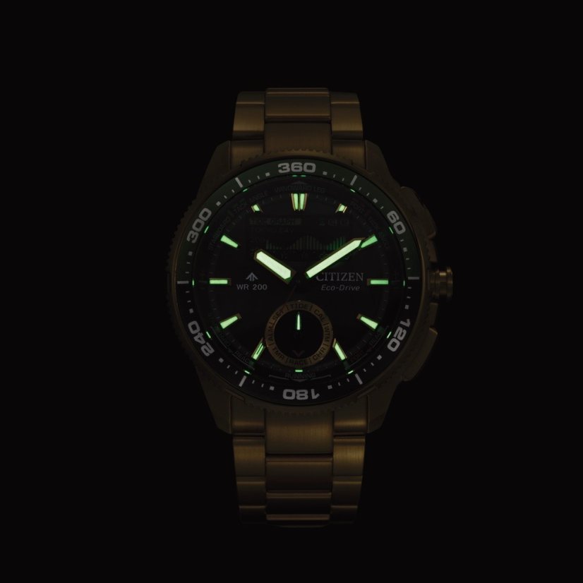 Citizen JV3002-51E Promaster