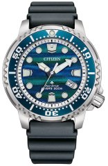 Citizen BN0167-09W Promaster