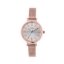 MPM W02N.11177.A