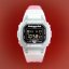 CASIO DW-5600TNT-7ER Casio G-Shock thisisneverthat Collaboration Model