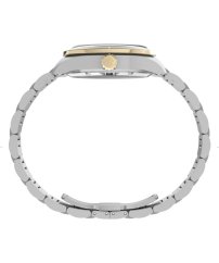 Timex Waterbury Heritage TW2Y94200UK