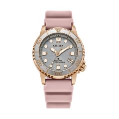 Citizen EO2023-00A Promaster