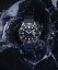 Timex Deepwater Meridian TW2W81500UK