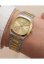 Timex E Line Quartz TW6A00800