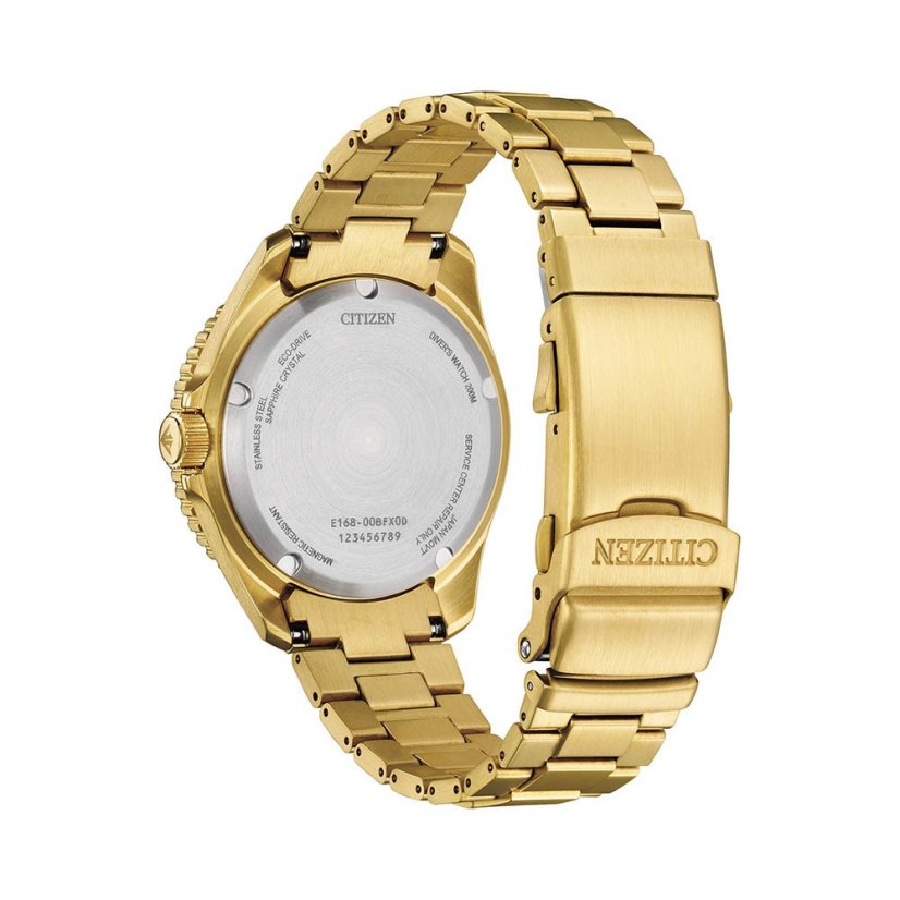 Citizen BN0262-59W Promaster