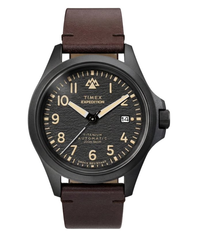 Timex Expedition Field Post Titanium TW2Y90900UK