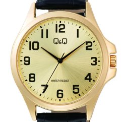 Hodinky Q&Q C36A-011PY