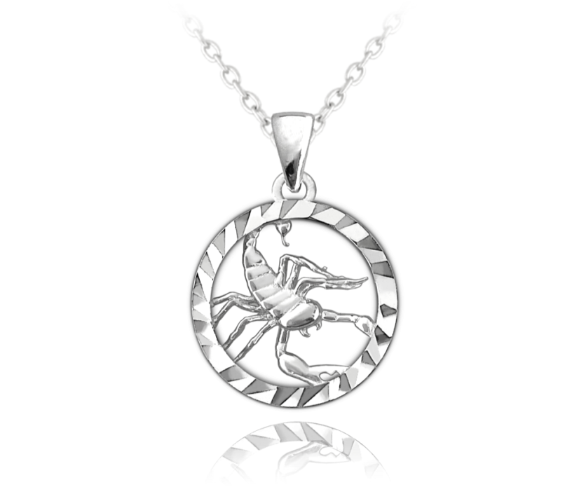 MINET Stříbrný náhrdelník Zodiac znamení ŠTÍR