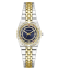 Guess Vera GW1119L3