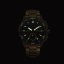 Citizen JV3002-51E Promaster