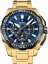 FESTINA 20727/1 Chrono Bike 2025