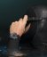 Timex Deepwater Reef Titanium Automatic TW2W73800UK