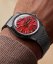 Timex Harry Potter TW2Y99700QY