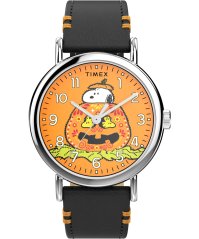 Timex Peanuts Weekender Pumpkin Dial TW2Y12300UK