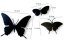 Dizajnové hodiny Diamantini a Domeniconi Butterfly orange 40cm