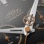 PRIM Legendy 2026 – D - W91P.13279.D