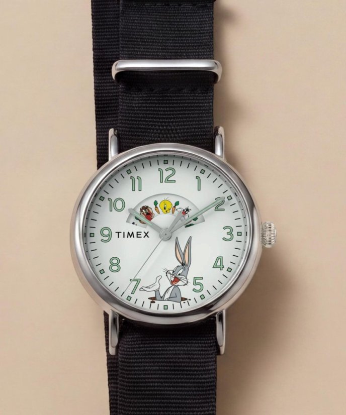 Timex Looney Tunes TW2Y99100QY