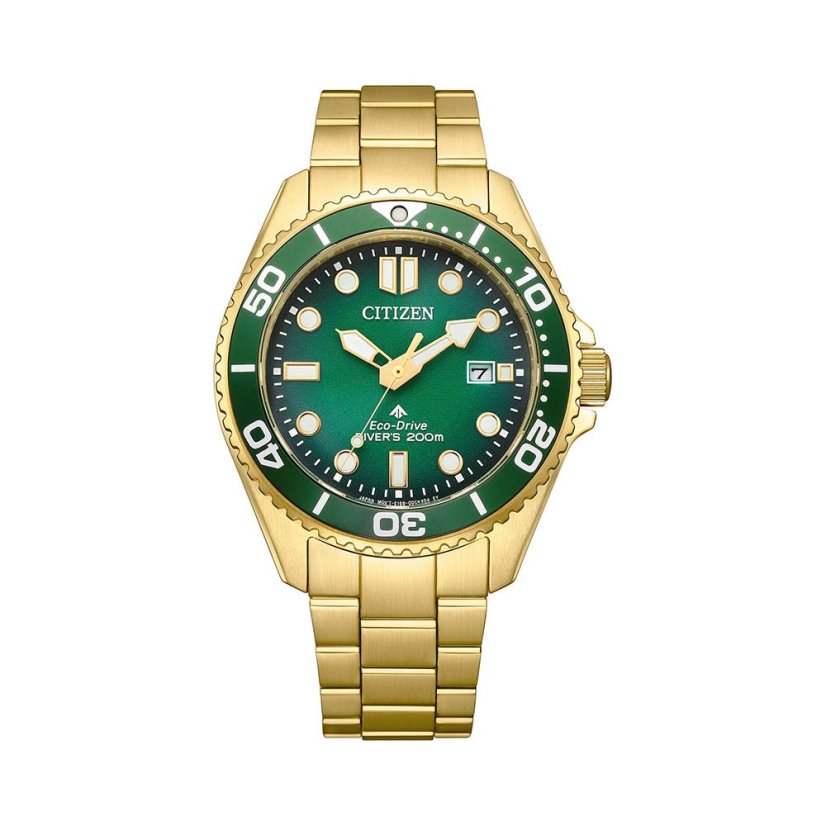 Citizen BN0262-59W Promaster