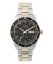 Timex Waterbury Heritage TW2Y94200UK