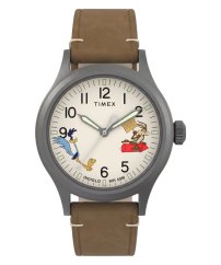 Timex Looney Tunes TW2Y99400QY