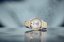 Wenger City Classic Quartz 01.1441.143