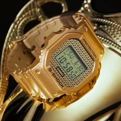 CASIO DWE-5600HG-1ER G-Shock