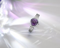 Seiko Quartz 145th Anniversary Limited Edition HGH004P1
