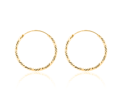 Pozlátené strieborné náušnice kruhy JVD SVLE0215XD5GO40 (priemer 40mm)