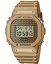 CASIO DWE-5600HG-1ER G-Shock