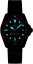 Certina DS Action Diver C048.807.33.051.01