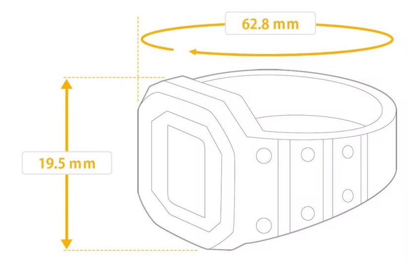 CASIO CRW-001G-9ER 50th Anniversary Ring Watch