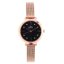 MPM W02M.11267.G