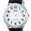 Hodinky Q&Q C48A-001PY