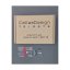 Dizajnové hodiny 10-330-60 gold CalleaDesign 90cm