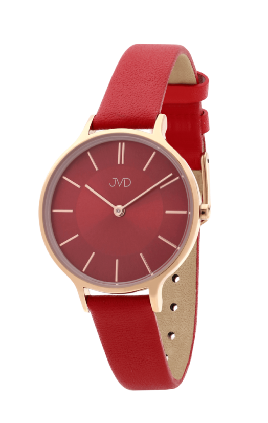 Náramkové hodinky JVD JZ202.3