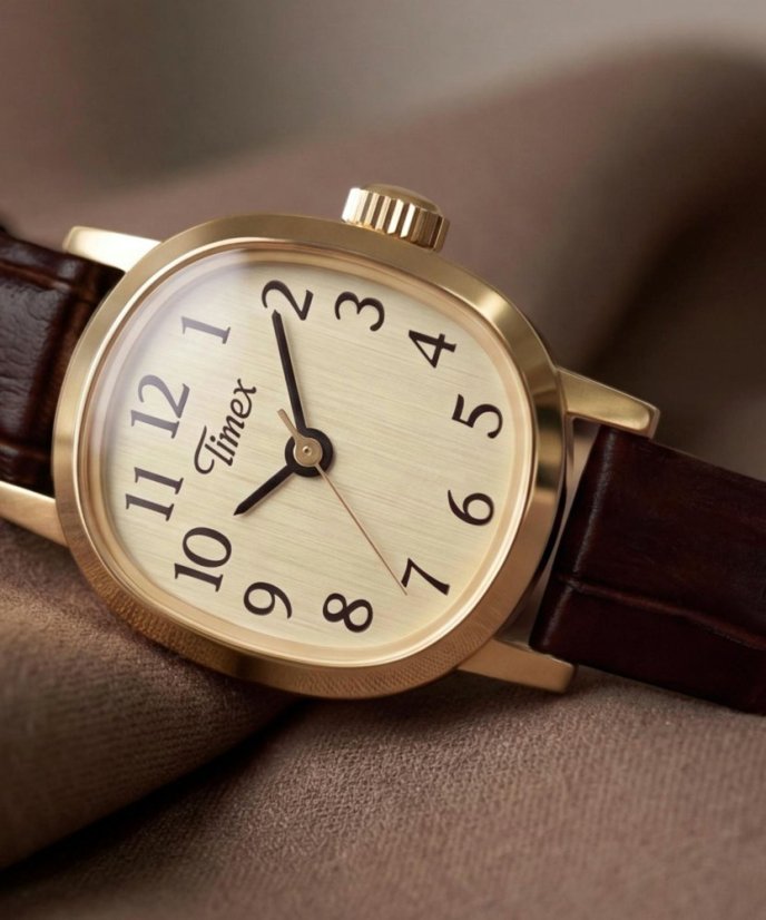 Timex Cavatina Mini TW2Y87700