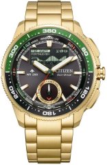 Citizen JV3002-51E Promaster