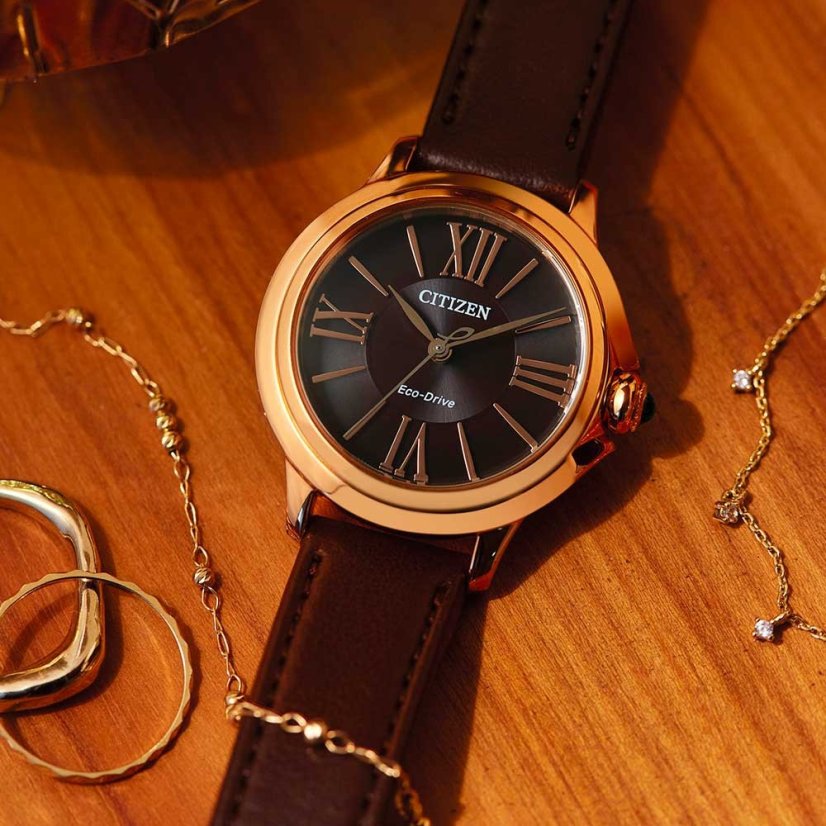 Citizen EM1163-09X Citizen L