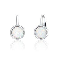 Strieborné náušnice JVD SVLE0697XH2O100