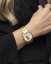 FESTINA 20064/1 SWISS MADE AUTOMATIC