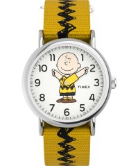 Timex Peanuts Weekender Charlie Brown TW2R411006B