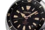 Seiko SRPG17K1 Prospex Tortoise Land Editio